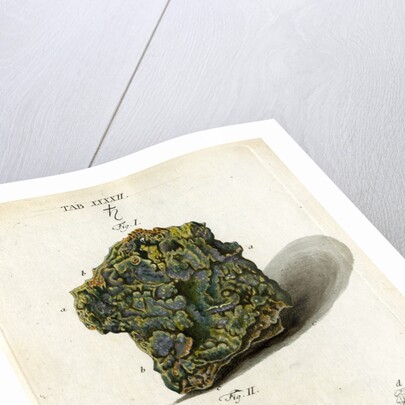 Green mineral of lead by Johann Sebastian Leitner