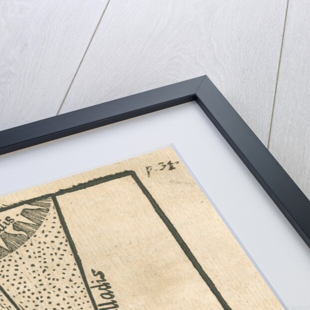 Figures of the Sun and Earth by unknown