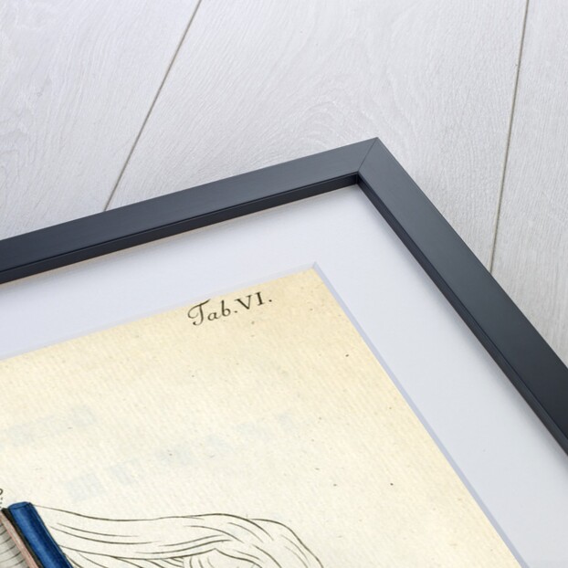 Open chest cavity by Walwert