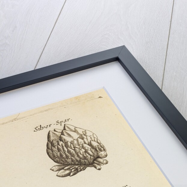 Stones and crystals in the Royal Society's Repository by Anonymous