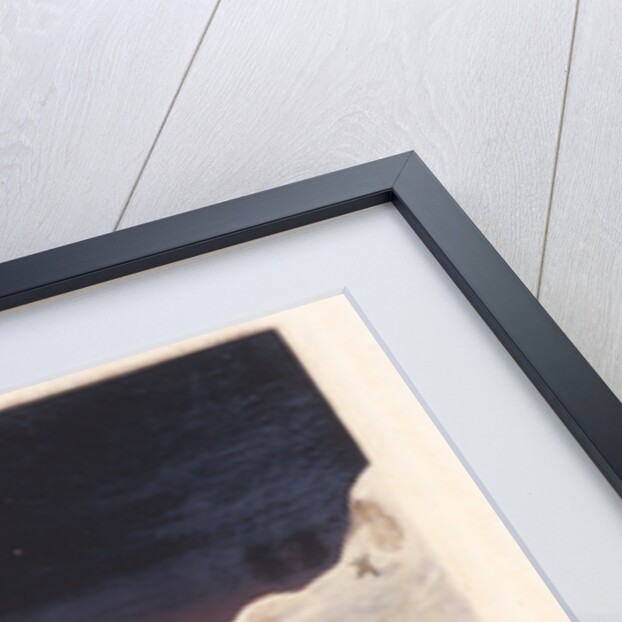 'North Hendon': snow cottages of the Boothians by William Say