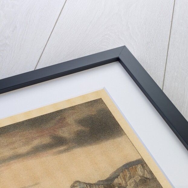 James Clark Ross killing a musk ox by John Brandard