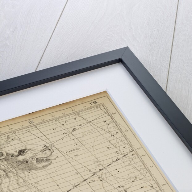 Leo, from John Flamsteed's 'Atlas Coelestis by Anonymous