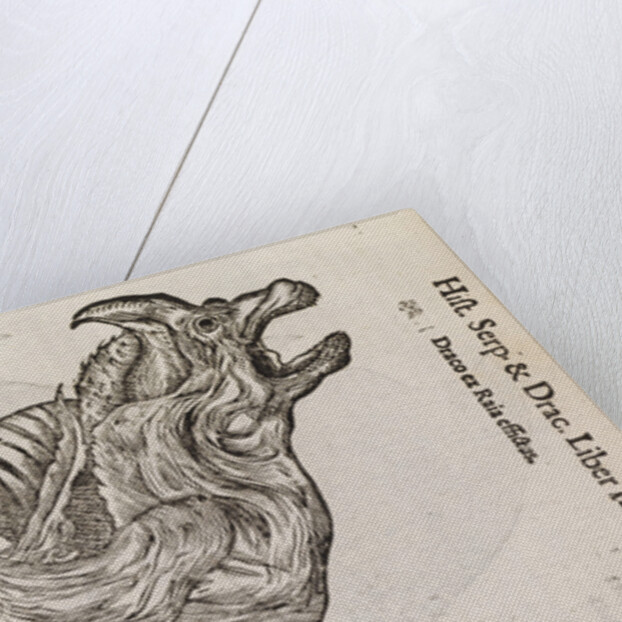 A 'dragon' made from fish parts by unknown