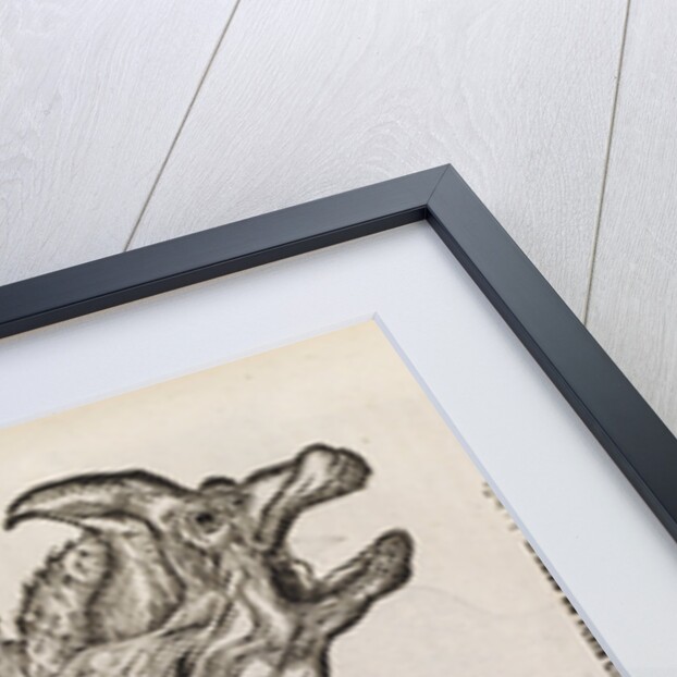 A 'dragon' made from fish parts by unknown