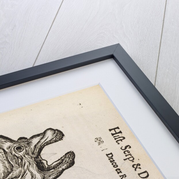 A 'dragon' made from fish parts by unknown