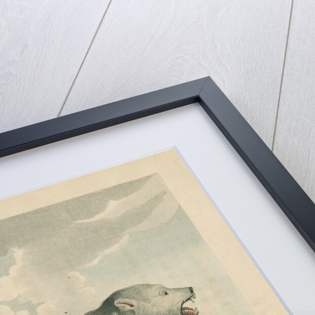 'The Polar Bear' by George Noble