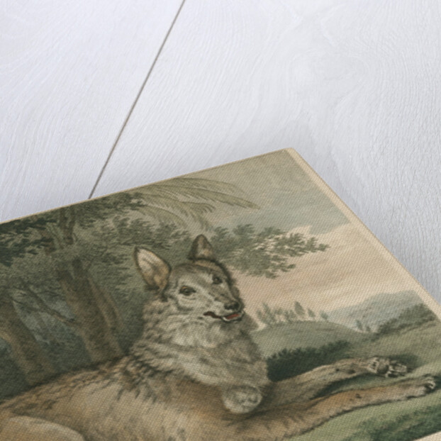 'The Wolf' by William Skelton