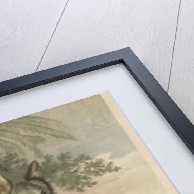 'The Wolf' by William Skelton