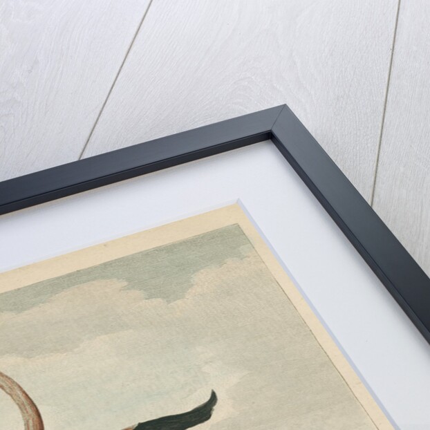 'The Flamingo' by James Fittler