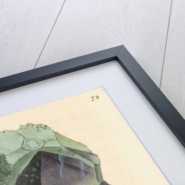 Calx fluor by James Sowerby