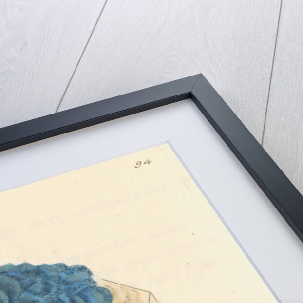 'Cuprum carbonatum' by James Sowerby