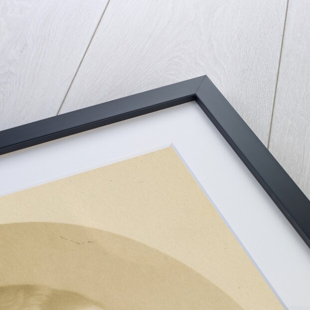 Portrait of Charles Richard Weld (1813-1869) by John Jabez Edwin Mayall