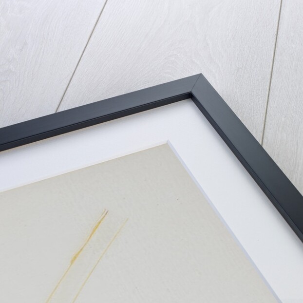 Gongora orchid by Arthur Harry Church