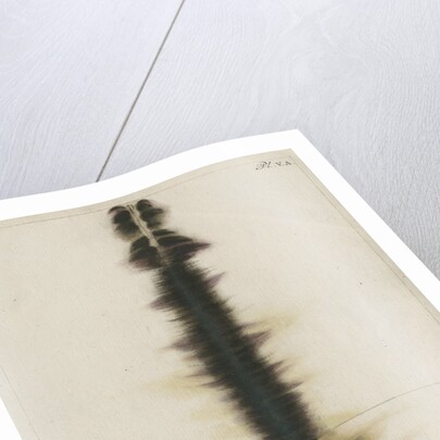 Brass wire explosion pattern by Anonymous