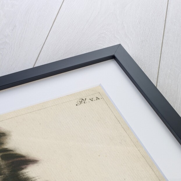 Brass wire explosion pattern by Anonymous