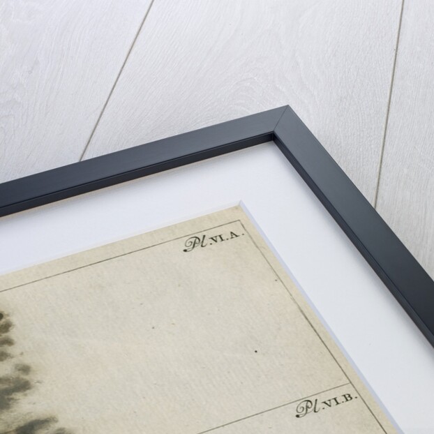 Silver wire explosion pattern by Anonymous