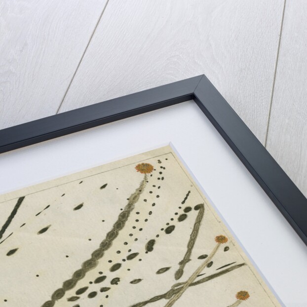 Lead-Tin alloy wire explosion pattern by Anonymous