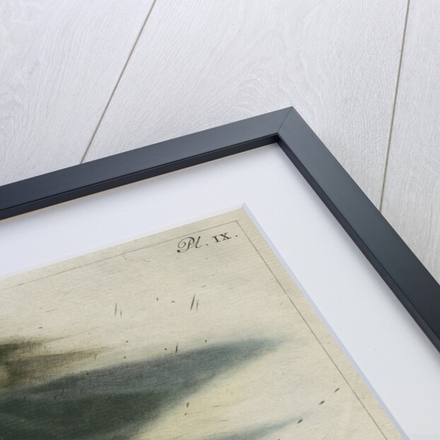 Lead-Tin alloy wire explosion pattern by Anonymous