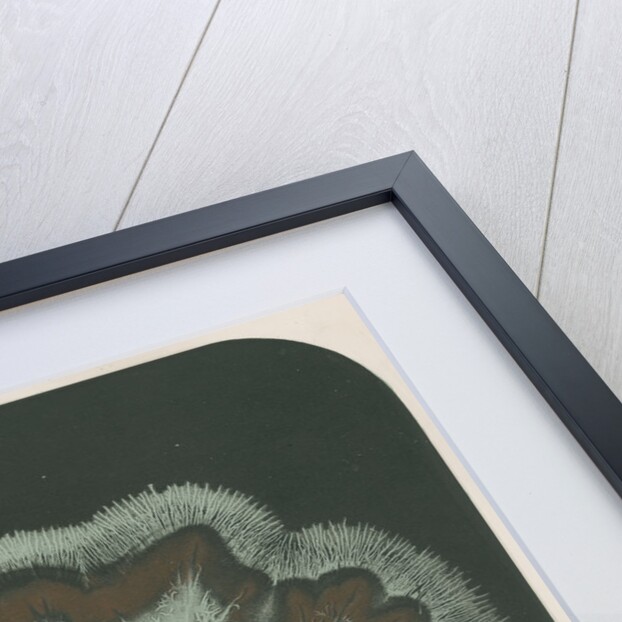 Electrical discharge by The Autotype Company