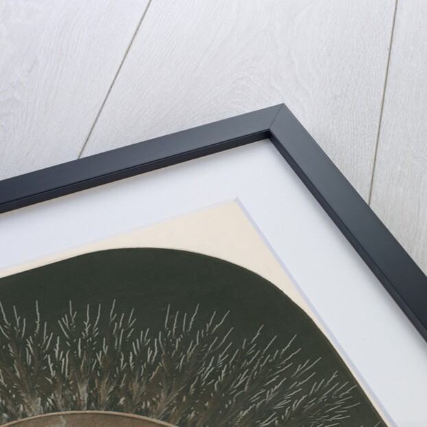 Electrical discharge by The Autotype Company