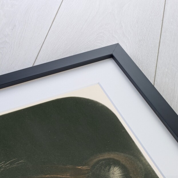 Electrical discharge by The Autotype Company