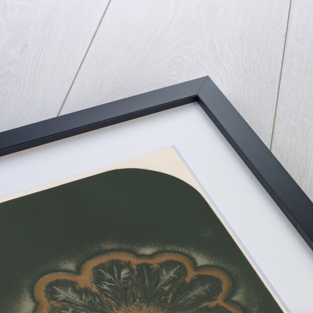 Electrical discharge by The Autotype Company