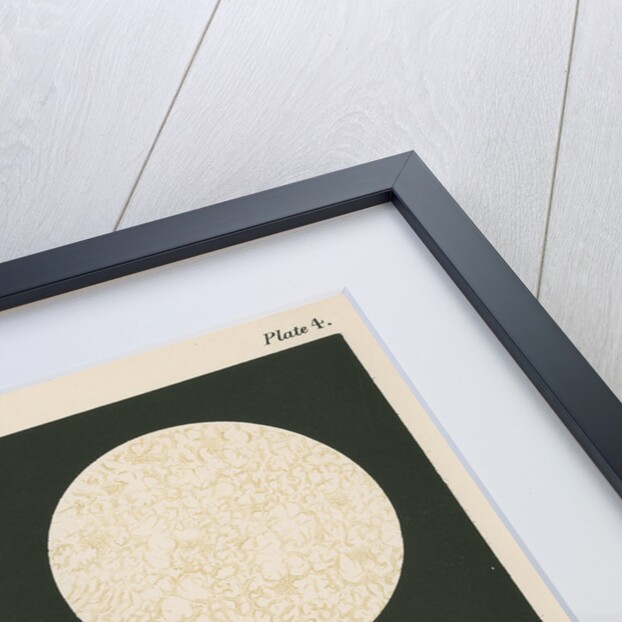 Pumice and dust of Krakatoa by Anonymous