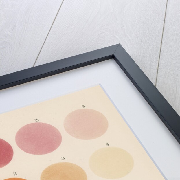 Colours of double stars by Anonymous