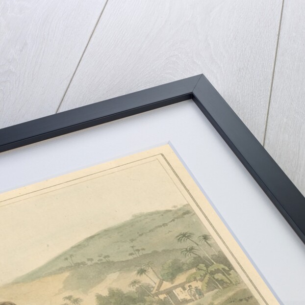 'A Group of Cochin chinese' by Thomas Medland