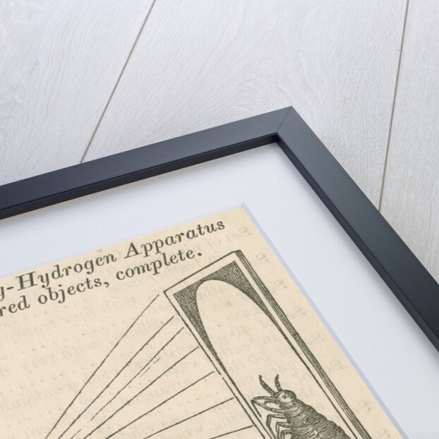 Microscope and oxy-hydrogen lamp projector by unknown