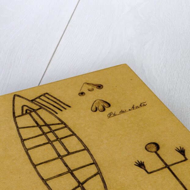 Picture-writing of a dolphin and the feet of tapir by Richard Spruce