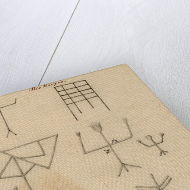 Picture-writing by Richard Spruce