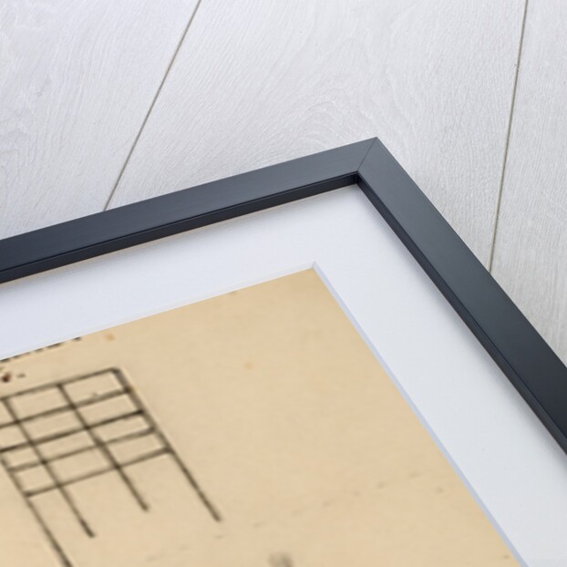 Picture-writing by Richard Spruce