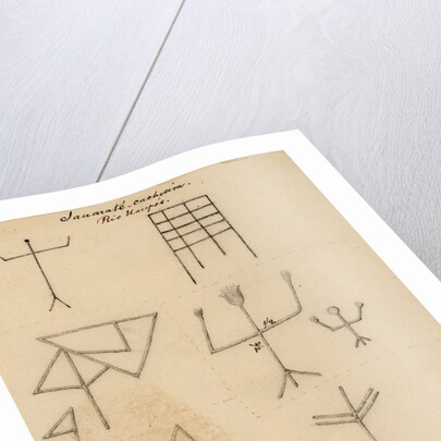 Picture-writing by Richard Spruce