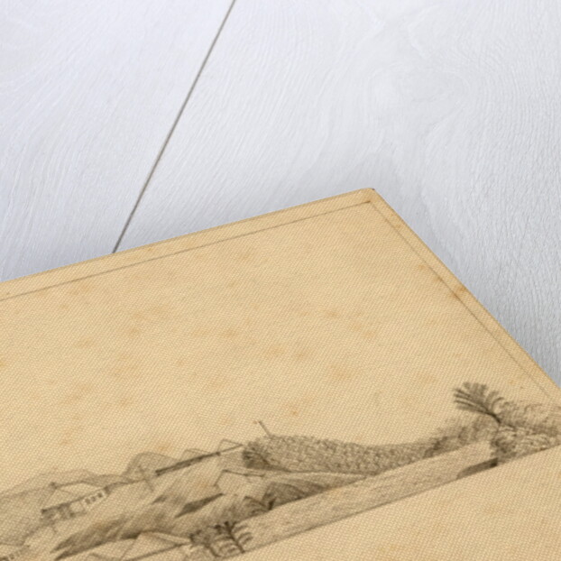 Saõ Gabriel do Rio Negro by Richard Spruce