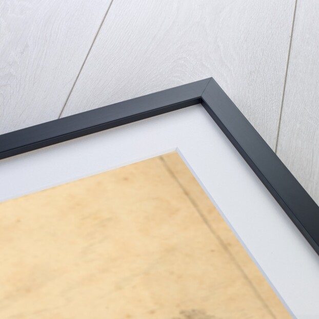 Saõ Gabriel village by Richard Spruce