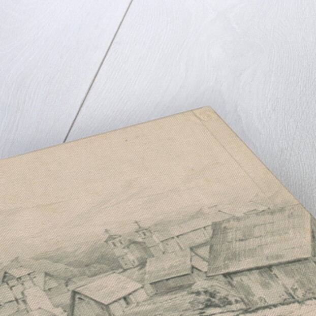 Lamas village by Richard Spruce