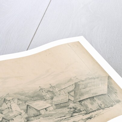 Lamas village by Richard Spruce