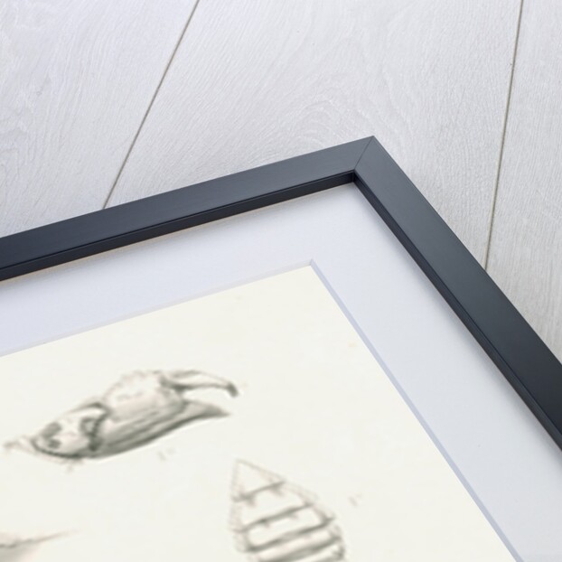 Studies of three crabs by Unknown