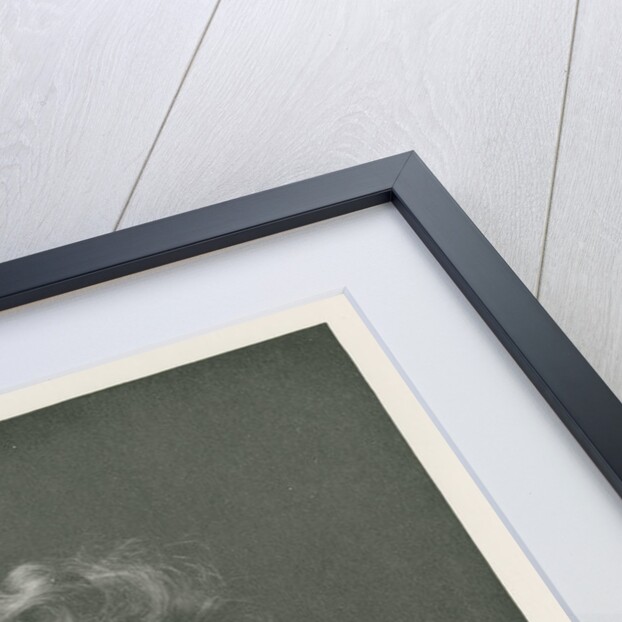 Portrait of Marie Charlotte Carmichael Stopes by unknown