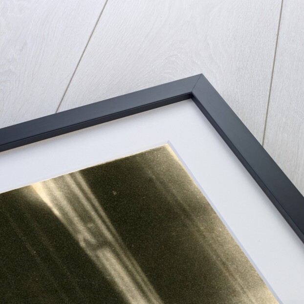 Portrait of Henry Enfield Roscoe by Rich & Company