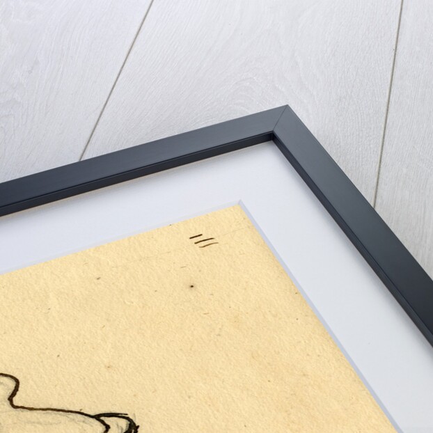 Ballistic pendulum by Benjamin Robins