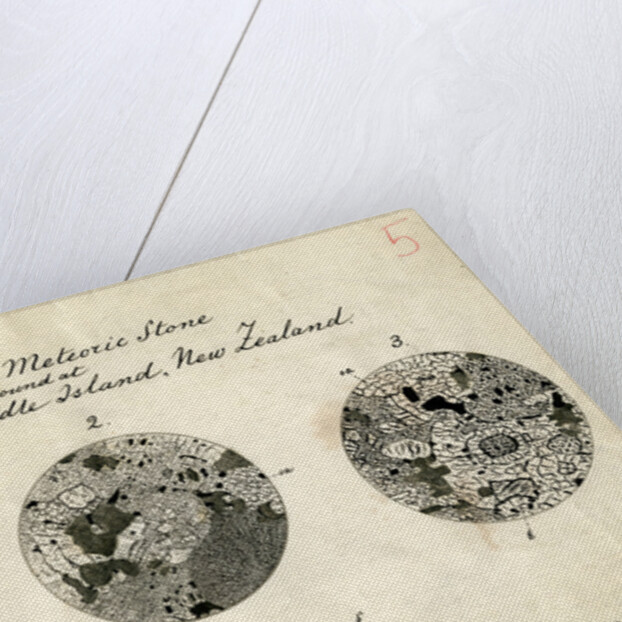 Sections of meteorite by George Henry Frederick Ulrich