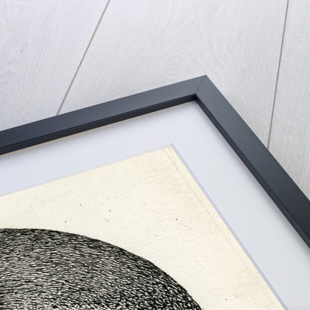 Spark discharge figure by unknown