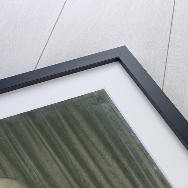 Potrait of William George Armstrong, 1st Baron Armstrong of Cragside (1810-1900) by Anonymous