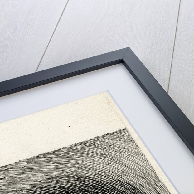 Spark discharge figure by unknown