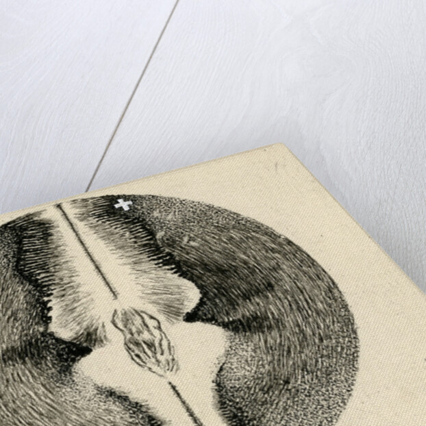 Spark discharge figure by Unknown