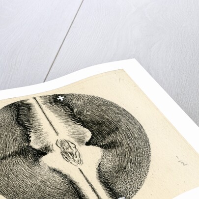 Spark discharge figure by Unknown