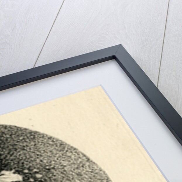 Spark discharge figure by Unknown